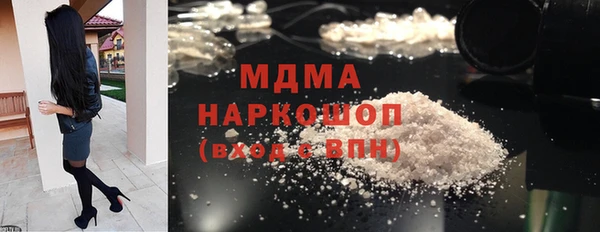 гидра Няндома