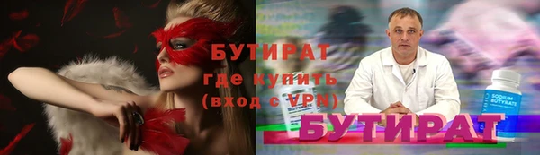 гидра Няндома