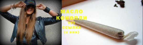 гидра Няндома