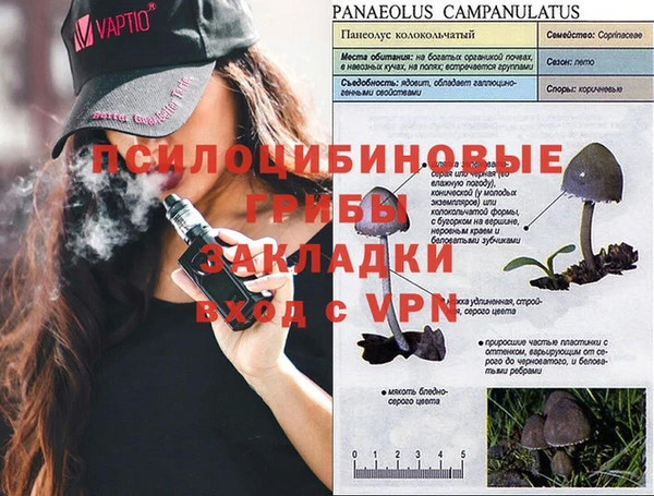 гашиш Новозыбков