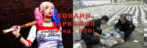 шишки Новокубанск