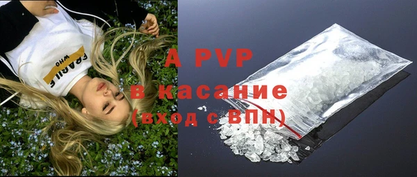 шишки Новокубанск
