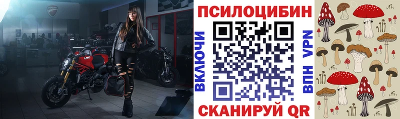 Купить  Краснотурьинск  Галлюциногенные грибы мицелий 
